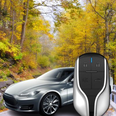 Alarme Voiture SpySecure™ - Entrée sans clé